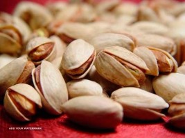 iranian pistachio exporters
