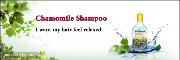 Sehat Chamomile Shampoo For Export