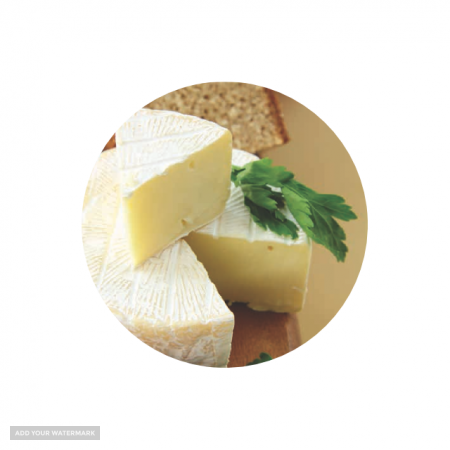 صادرات لبنیات پنیر کممبر با شیر بز